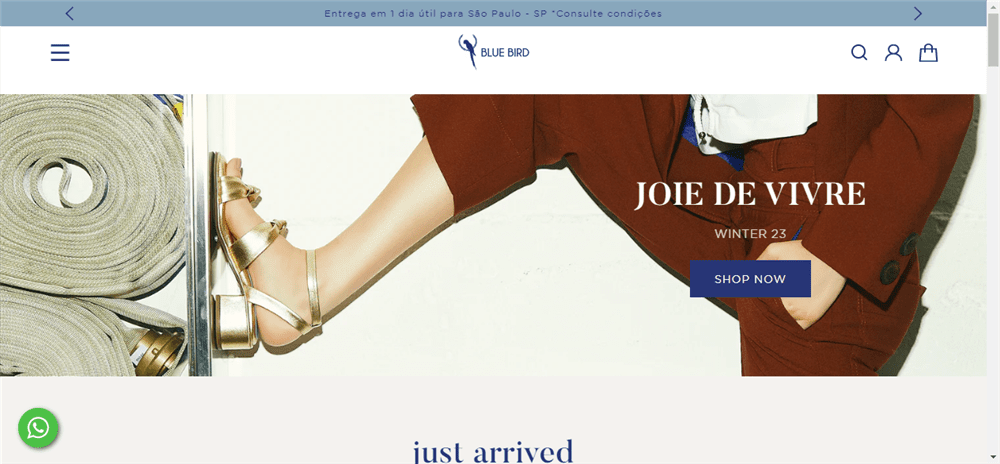 A loja Blue Bird Shoes é confável? ✔️ Tudo sobre a Loja Blue Bird Shoes!