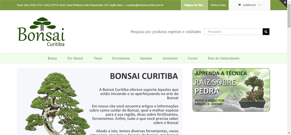 A loja Bonsai Curitiba é confável? ✔️ Tudo sobre a Loja Bonsai Curitiba!