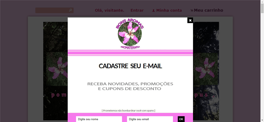 A loja Bonsaromasaromaterapia.com.br é confável? ✔️ Tudo sobre a Loja Bonsaromasaromaterapia.com.br!