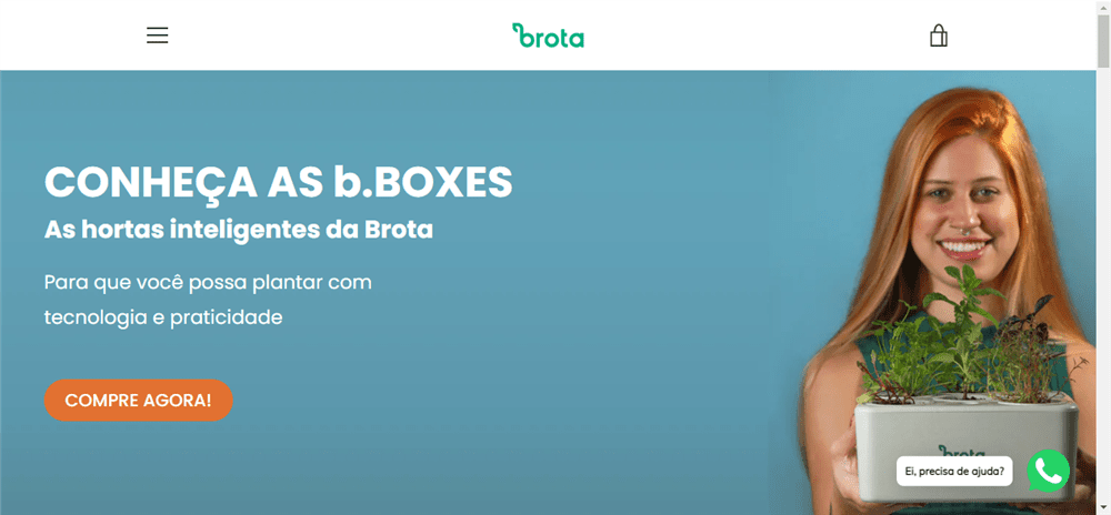 A loja Brota Company é confável? ✔️ Tudo sobre a Loja Brota Company!