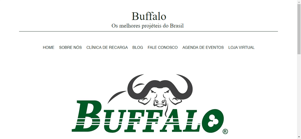 A loja Buffalobullets é confável? ✔️ Tudo sobre a Loja Buffalobullets!