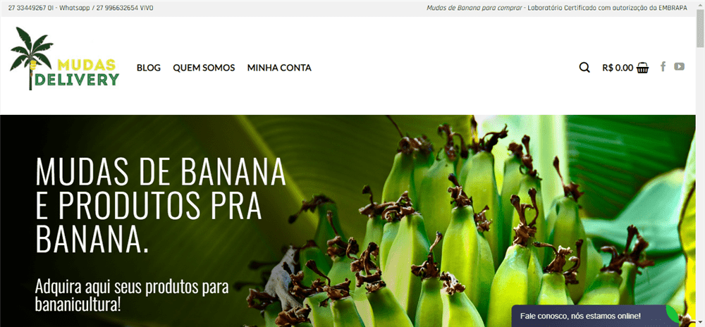 A loja Comprar Mudas de Banana Prata é confável? ✔️ Tudo sobre a Loja Comprar Mudas de Banana Prata!