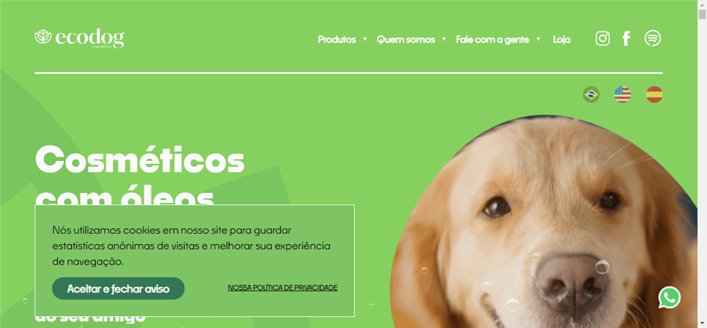 A loja Ecodog é confável? ✔️ Tudo sobre a Loja Ecodog!