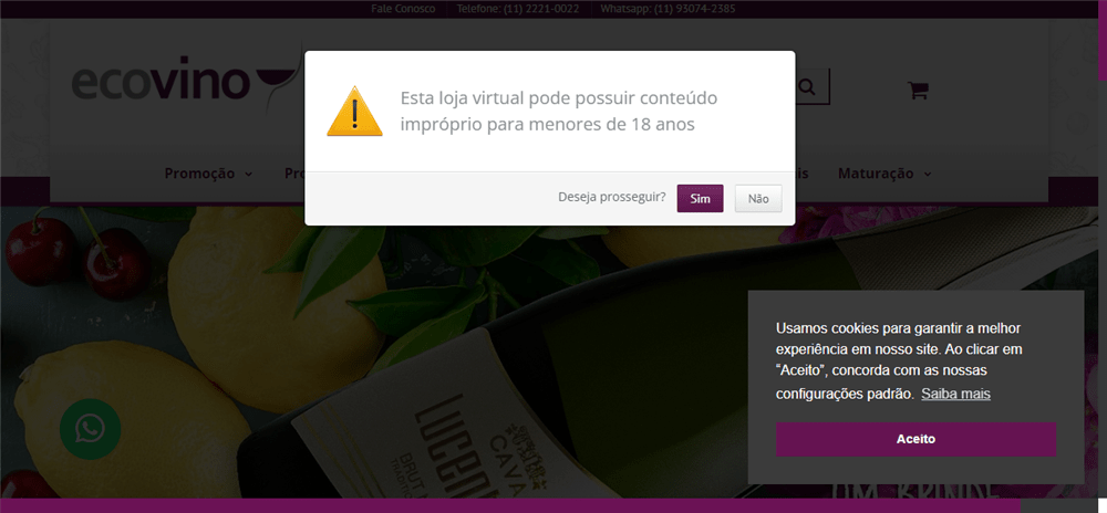 A loja Ecovino é confável? ✔️ Tudo sobre a Loja Ecovino!