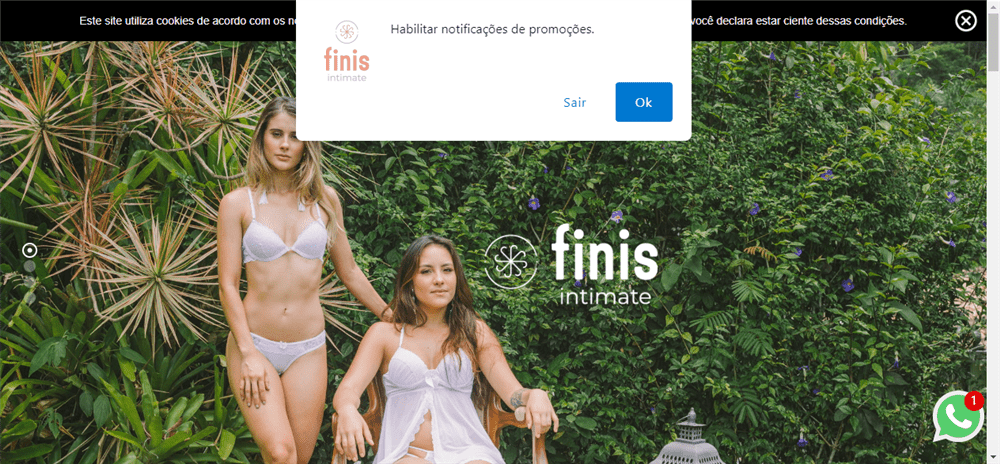 A loja Finis Intimate é confável? ✔️ Tudo sobre a Loja Finis Intimate!