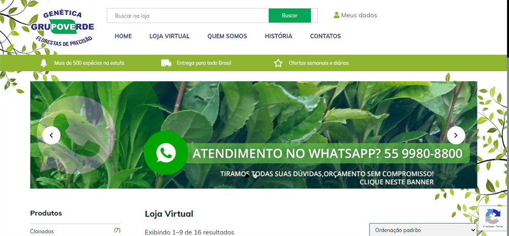 A loja Genética Grupo Verde é confável? ✔️ Tudo sobre a Loja Genética Grupo Verde!