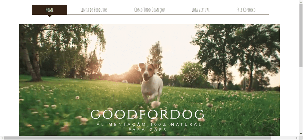 A loja Goodfordog é confável? ✔️ Tudo sobre a Loja Goodfordog!