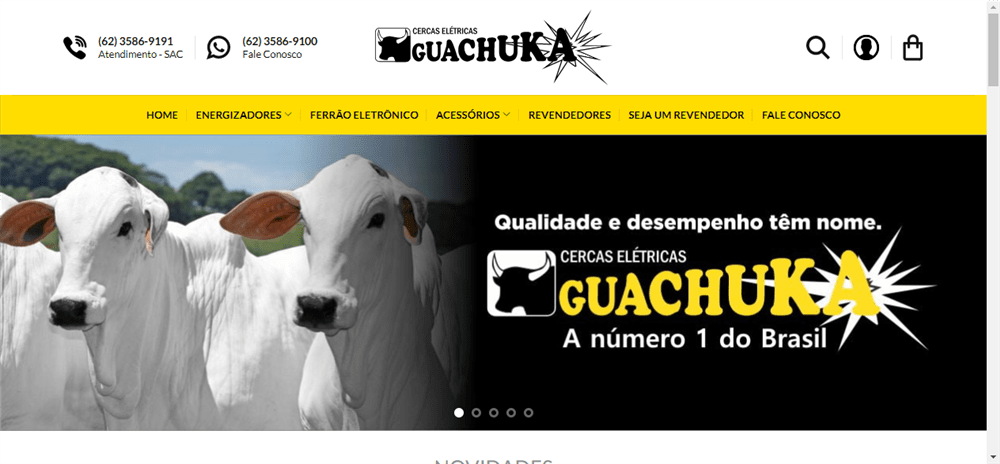 A loja Guachuka &#8211 é confável? ✔️ Tudo sobre a Loja Guachuka &#8211!