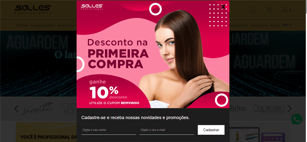 A loja Loja Salles Profissional é confável? ✔️ Tudo sobre a Loja Loja Salles Profissional!