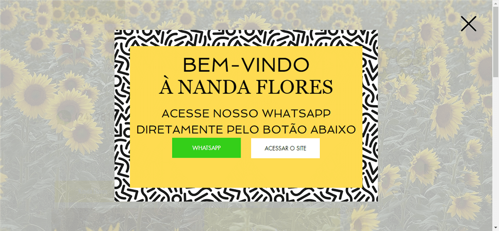 A loja Nanda Flores é confável? ✔️ Tudo sobre a Loja Nanda Flores!