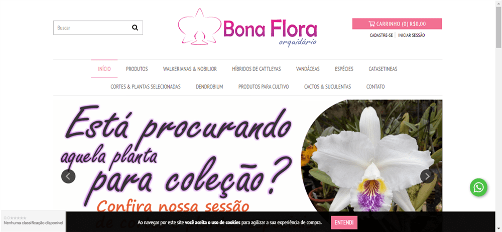 A loja Orquidário Bona Flora é confável? ✔️ Tudo sobre a Loja Orquidário Bona Flora!