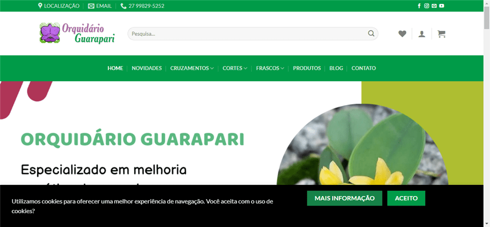 A loja Orquidario Guarapari – Orquídeas é confável? ✔️ Tudo sobre a Loja Orquidario Guarapari – Orquídeas!