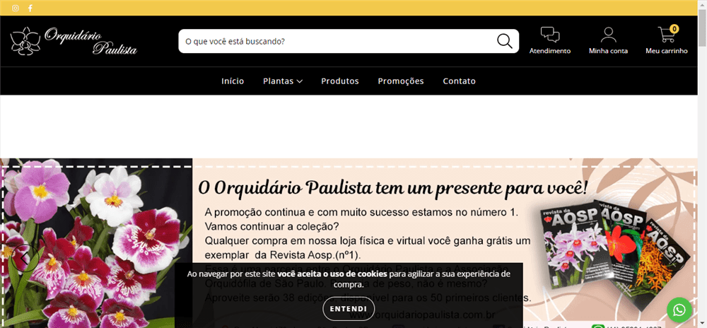A loja Orquidário Paulista é confável? ✔️ Tudo sobre a Loja Orquidário Paulista!
