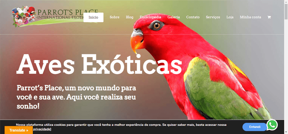 A loja Parrots Place é confável? ✔️ Tudo sobre a Loja Parrots Place!