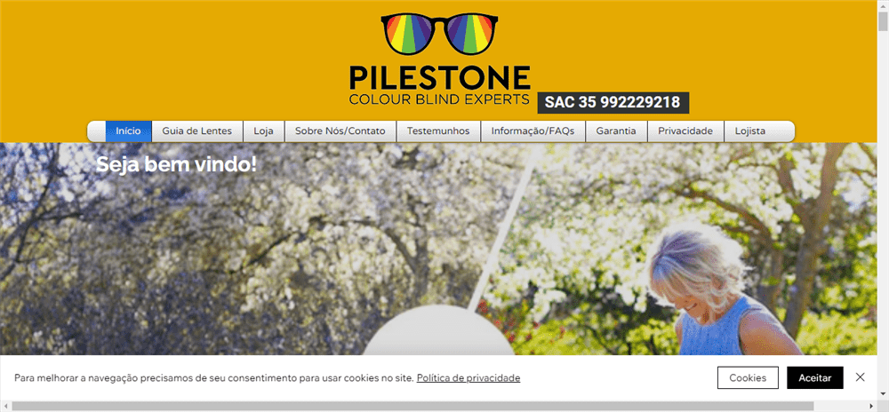 A loja Pilestone é confável? ✔️ Tudo sobre a Loja Pilestone!
