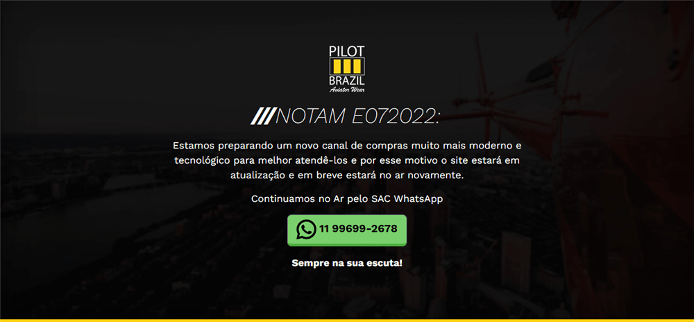 A loja Pilot Brazil é confável? ✔️ Tudo sobre a Loja Pilot Brazil!