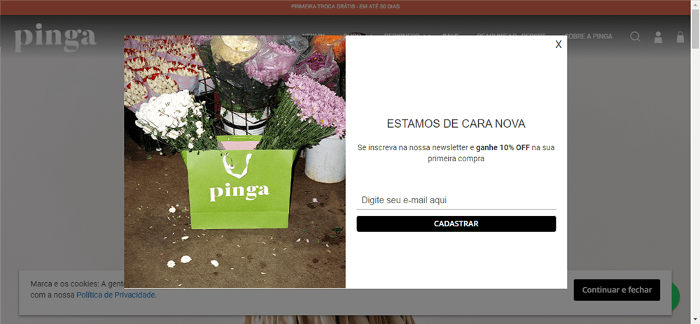 A loja Pinga Store é confável? ✔️ Tudo sobre a Loja Pinga Store!