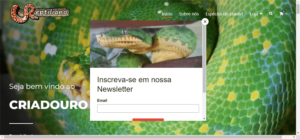 A loja Reptiliano é confável? ✔️ Tudo sobre a Loja Reptiliano!