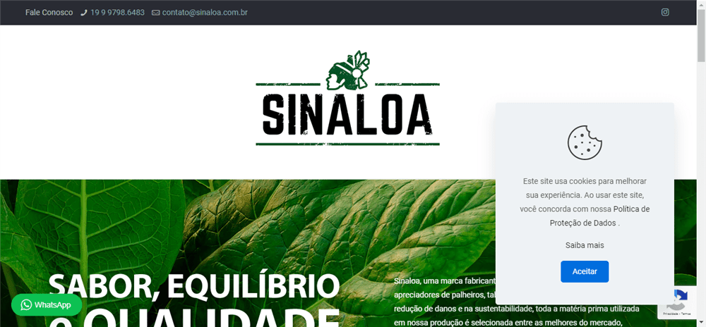 A loja Sinaloa é confável? ✔️ Tudo sobre a Loja Sinaloa!
