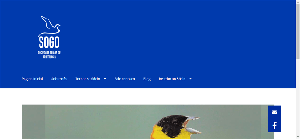 A loja Sociedade Goiana de Ornitologia (SOGO) &#8211 é confável? ✔️ Tudo sobre a Loja Sociedade Goiana de Ornitologia (SOGO) &#8211!