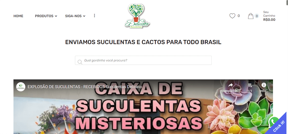 A loja Suculentas Delicato é confável? ✔️ Tudo sobre a Loja Suculentas Delicato!