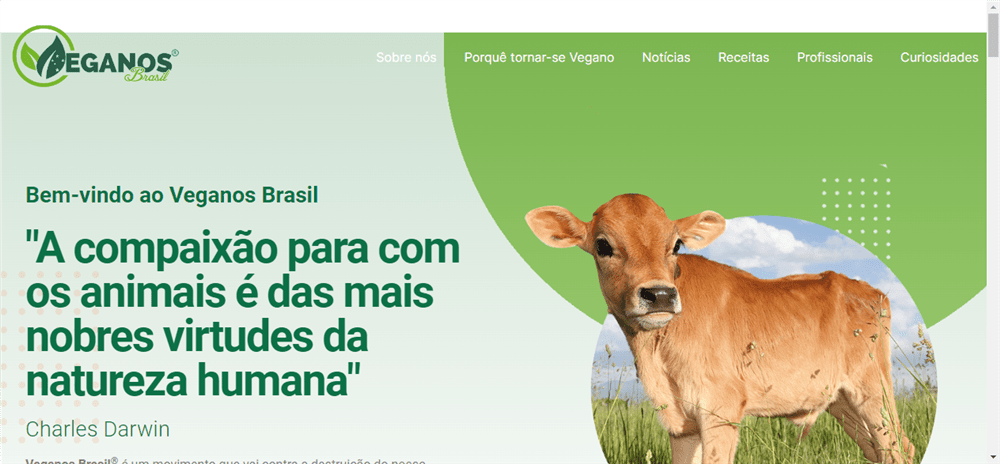 A loja Veganos Brasil é confável? ✔️ Tudo sobre a Loja Veganos Brasil!