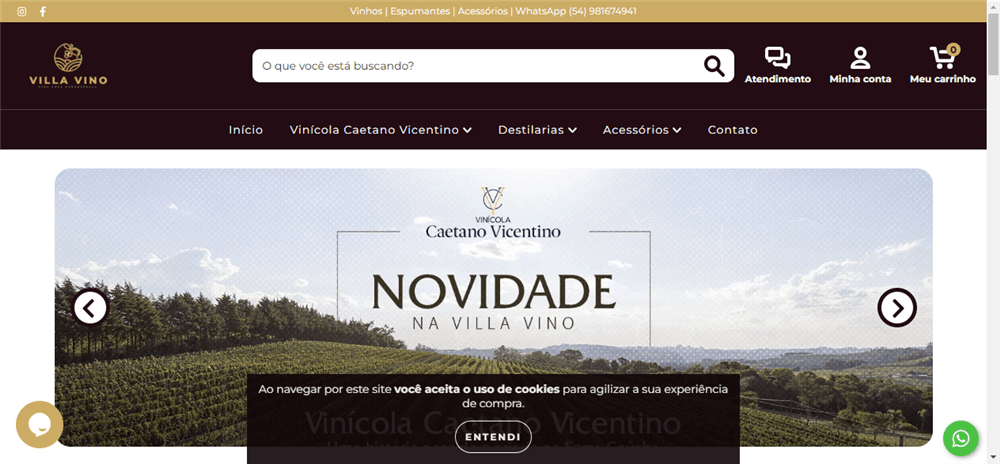 A loja Villa Vino é confável? ✔️ Tudo sobre a Loja Villa Vino!
