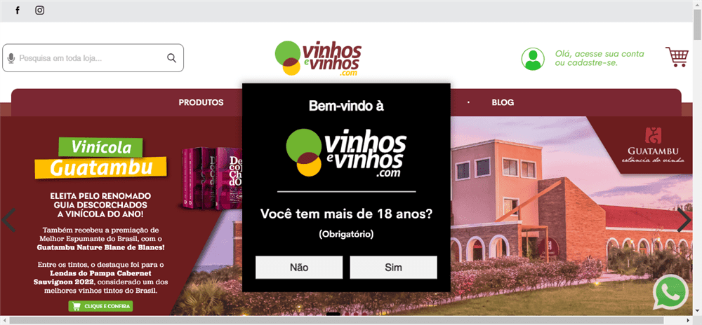 A loja Vinhos e Vinhos é confável? ✔️ Tudo sobre a Loja Vinhos e Vinhos!