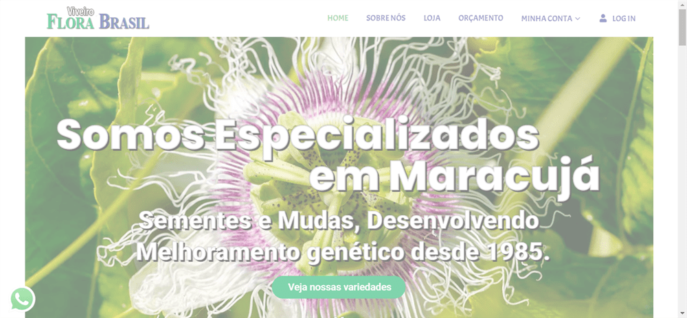 A loja Viveiro Flora Brasil é confável? ✔️ Tudo sobre a Loja Viveiro Flora Brasil!