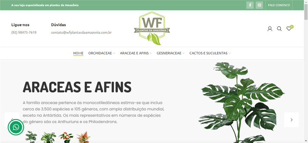 A loja WF Plantas da Amazônia &#8211 é confável? ✔️ Tudo sobre a Loja WF Plantas da Amazônia &#8211!
