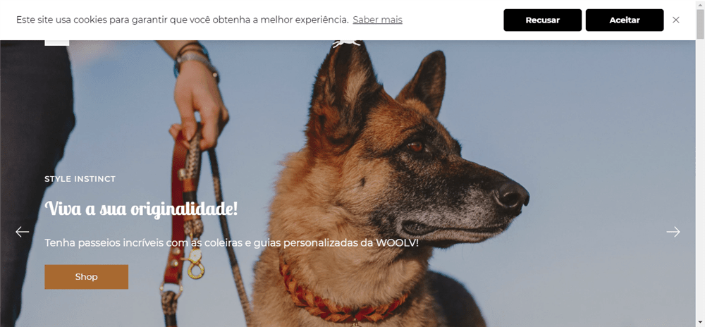 A loja WOOLV Canine Couture é confável? ✔️ Tudo sobre a Loja WOOLV Canine Couture!