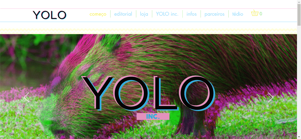 A loja YOLO Inc. é confável? ✔️ Tudo sobre a Loja YOLO Inc.!